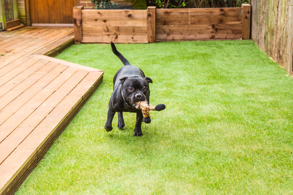 crm for artificial grass installers
