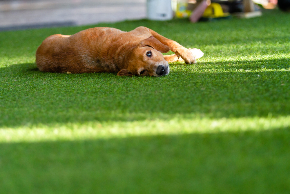 crm for artificial grass installers